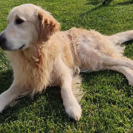 Giulia E Andrea Vakantiehuis