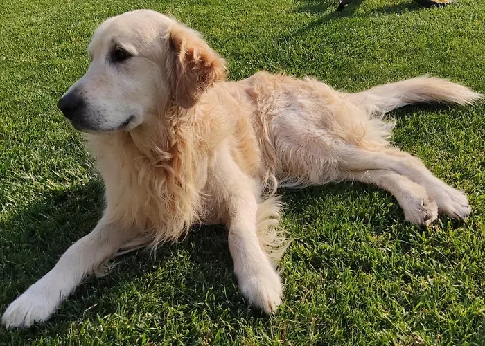 Giulia E Andrea Vakantiehuis